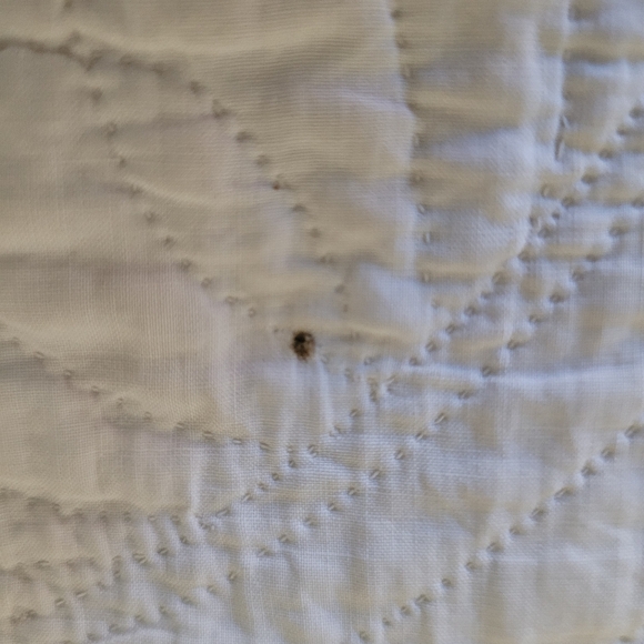 Antique Dresden Plate 1920s Patchwork Quilt 84 x 84 SHIPS TODAY - Picture 10 of 14